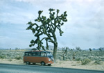 AlaskaTrip1