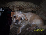 gidget3